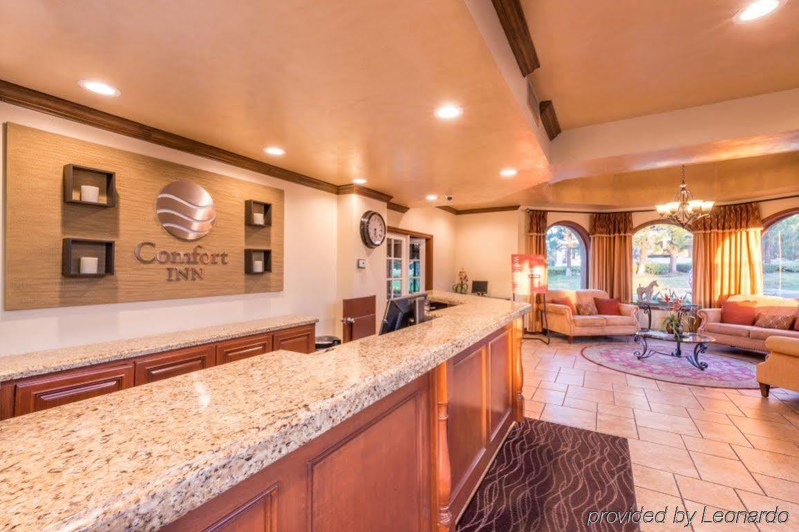 Tiller House, Laguna Hills, A Tribute Portfolio Hotel Exteriér fotografie